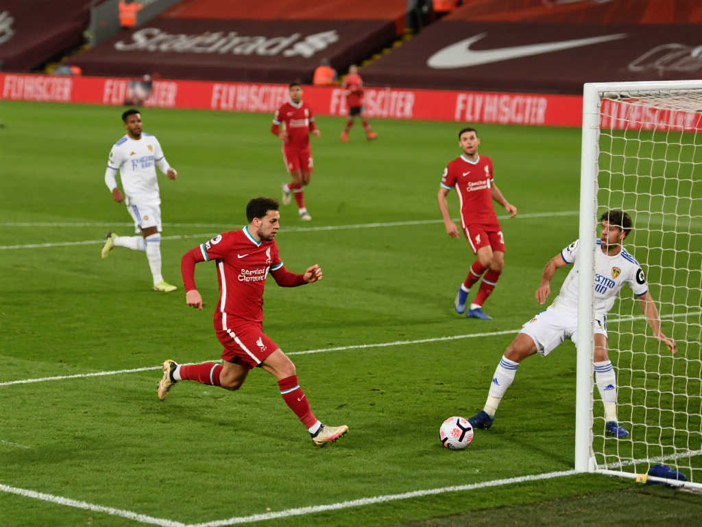 不仅影响了 不仅影响了